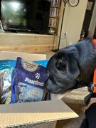 Pawstruck.com Best of Pawstruck Value Pack Bundle Review