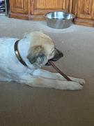 Pawstruck.com Straight Bully Sticks for Dogs (Sold by Weight) Review