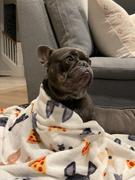 French Bulldog Love Pizza Party Fleece Blanket Review