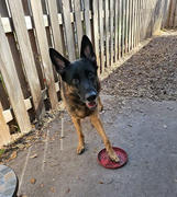 Campfire Treats Split Turkey Necks for Dogs Review