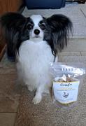 Campfire Treats Chicken Jerky for Dogs Review