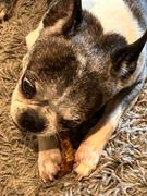 Campfire Treats Chicken Necks for Dogs Review