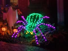 American Sale 3D Halloween LED Scary Spider Sculpture Review