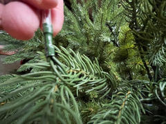 American Sale Majestic Spruce Dual LED PowerConnect™ Pre-Lit Artificial Christmas Tree Review