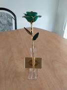 Bijoux Medusa Forever Golden Rose 24K  Review