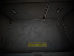 mountune mountune LUX Boot Mat [Mk8 Fiesta ST] Review
