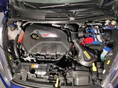 mountune Carbon Induction Kit [Mk7 Fiesta ST] Review