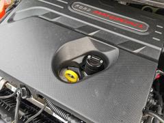 mountune Oil Filler Cap [Mk8.5 Fiesta ST | Puma ST | Mk4.5 Focus ST] Review