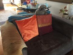 Simply Cushions Mustard Velvet Cushion Cover - Large Review