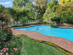 Simply Cushions Tropical Olive Outdoor Couch Cushions Set - 3 Covers Review