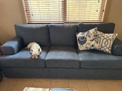 Simply Cushions Hamptons Duck Egg Trellis Cushion Cover Review