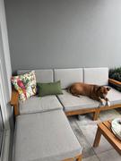 Simply Cushions Airlie Waterproof Parrot Tropical Outdoor Cushion Cover Review