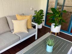 Simply Cushions Palm Mustard Outdoor Couch Cushions Set - 3 Covers Review