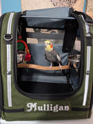 Celltei Pak-o-Bird Small Size Review