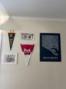 Native Maps Baltimore Review