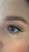 xoBeauty The Brave False Lashes Review