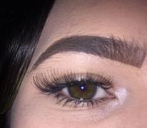 xoBeauty The Glamourista False Lashes Review