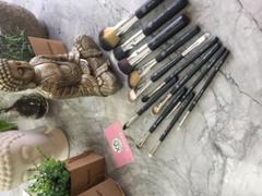 xoBeauty 12pc Brush Set Review