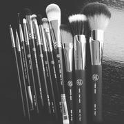 xoBeauty 12pc Brush Set Review
