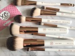 xoBeauty Flat Face Brush Review