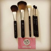 xoBeauty Powder Brush Review