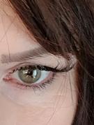 xoBeauty The Primadonna False Lashes Review