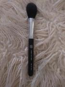 xoBeauty Shimmer Tulip Brush Review
