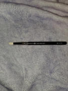 xoBeauty Tulip Crease Brush Review