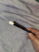 xoBeauty Tulip Crease Brush Review