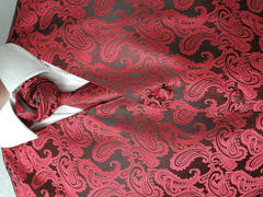 Paul Malone Red and Black Paisley Tuxedo Vest Set Review