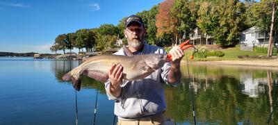 Catfish Sumo Pre-Tied Trophy Catfishing Leaders Review