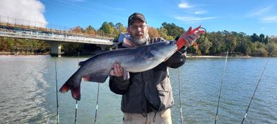 Catfish Sumo Pre-Tied Trophy Catfishing Leaders Review