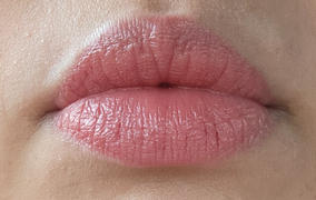 FARSALI The Lip Reset Review