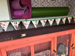 The Hoghouse Guinea pigs miniature bunting. Viv decorations. Cage decorations. Review