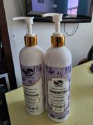 The Henna Guys Argan Shampoo & Conditioner Duo - Value Pack Review