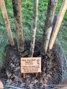 Bramble Signs Memorial & Commemorative Plaques - Small - 200 x 150mm Review