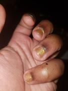 Triple O Polish Kansala(NORMAL PROCESSING TIMES ARE BACK) Review