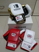 ChokeSports Isami Pro Boxing Gloves Review