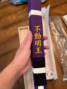 ChokeSports Isami Purple Belt Review