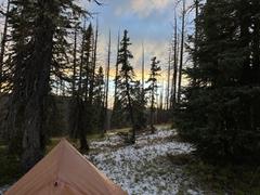Plex Solo Tent - 1P UL Backpacking Shelter | Zpacks
