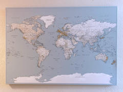 Trip Map Push Pin World Map - Mellow Blue (Detailed) Review