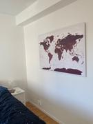 Trip Map Push Pin World Map - Burgundy (Detailed) Review