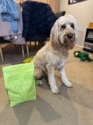 Scratch Lamb 8kg Review