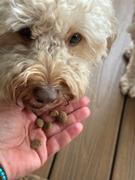 Scratch Grain-Free Mixed Box 8kg Review