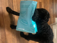 Scratch Kangaroo 8kg Review