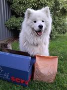 Scratch Mackerel  Review