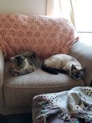 Goodfair Preloved Hand made Crochet Heirloom Blanket Review