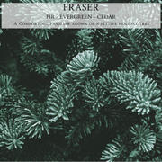 Begonia & Bench Fraser™ - 12oz Finely Crafted Scented Candle By Begonia & Bench® Review