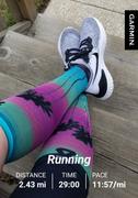 Zensah Sock of the Month Compression Socks Review