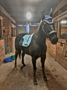 Breeches.com Equine Couture Fly Bonnet with Pearls and Crystals Review